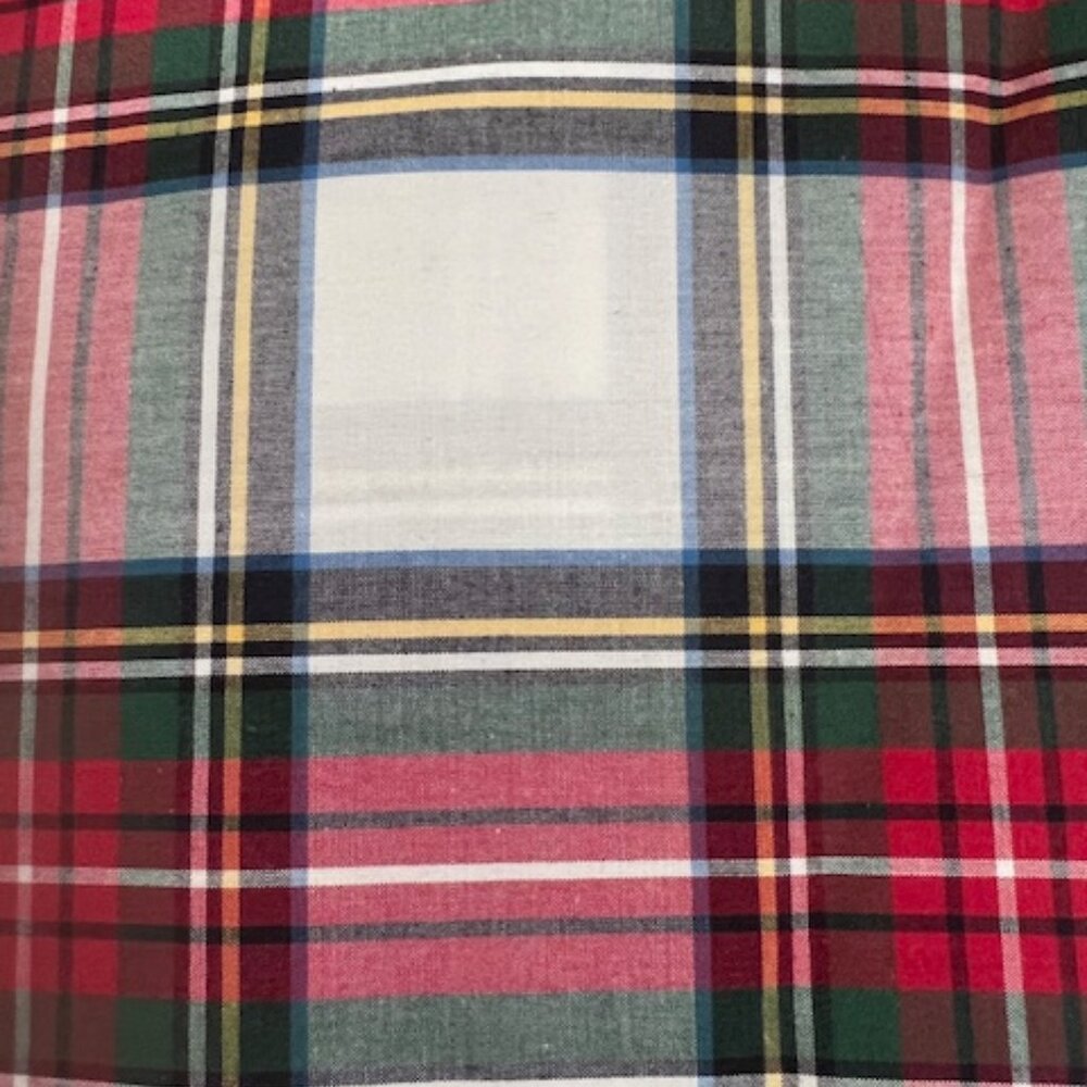 Pottery Barn Stewart Paid Organd FLAT SHEET ONLY